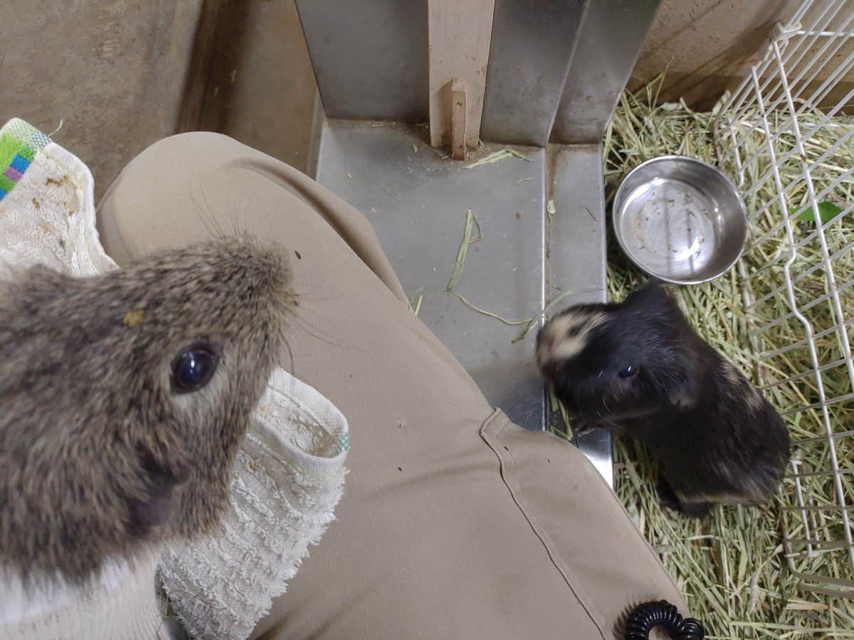 到津の森公園 tweet media