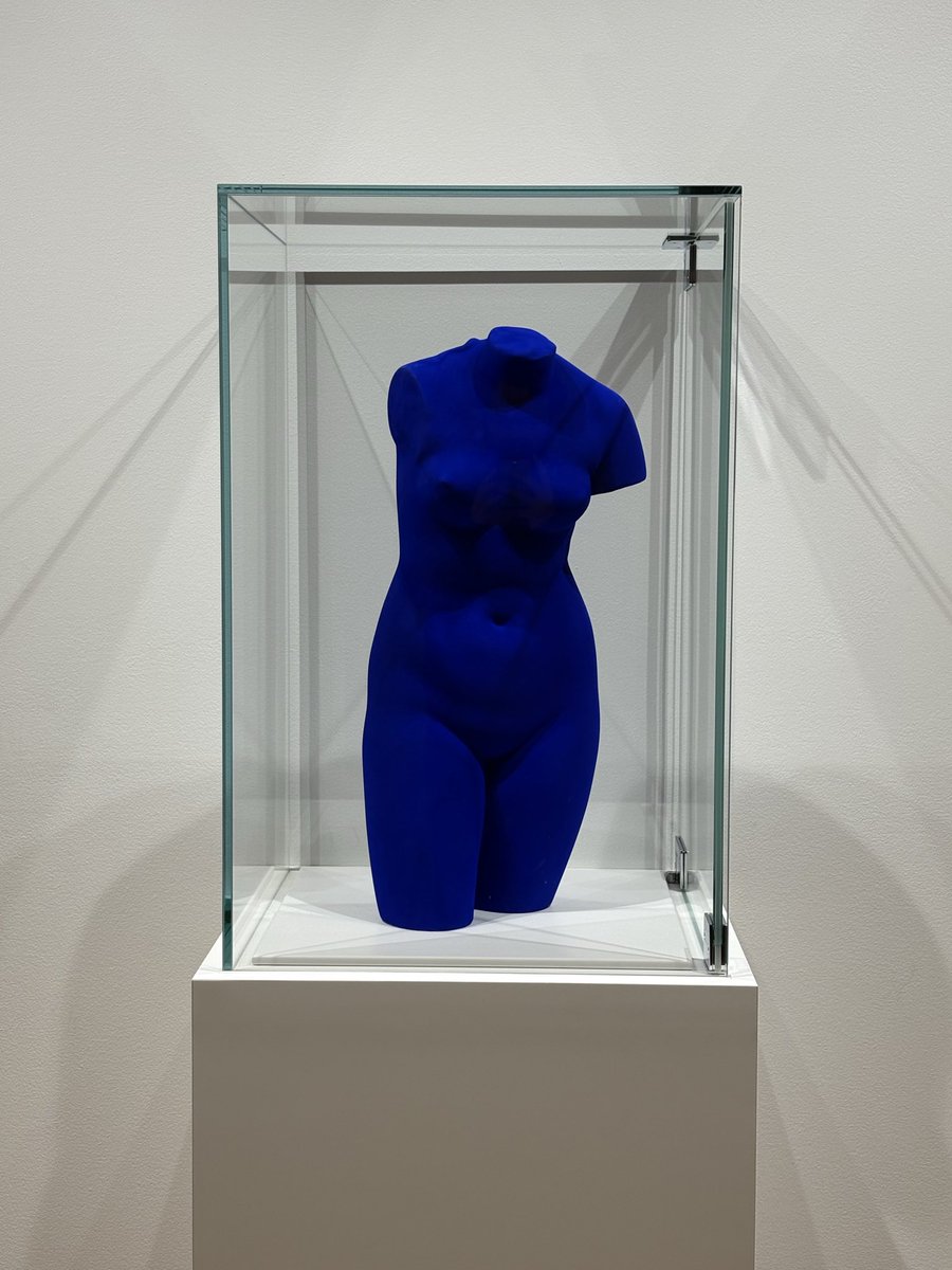 Eli Scheinman tweet media