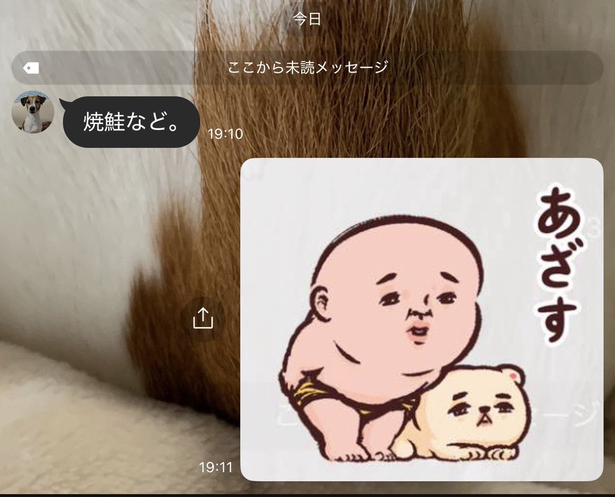 青空【╰( ╯˙-˙)╯ﾄｩｯ♪】 tweet media