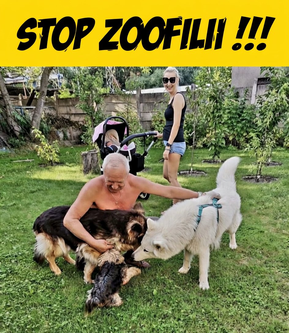 🇵🇱 MARCIN EDO tweet media