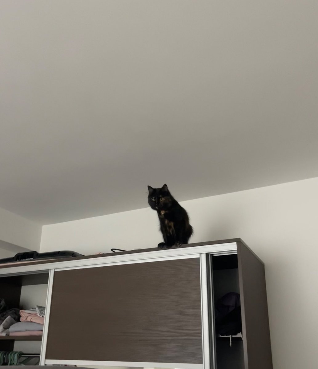 GavleGoatFire tweet media