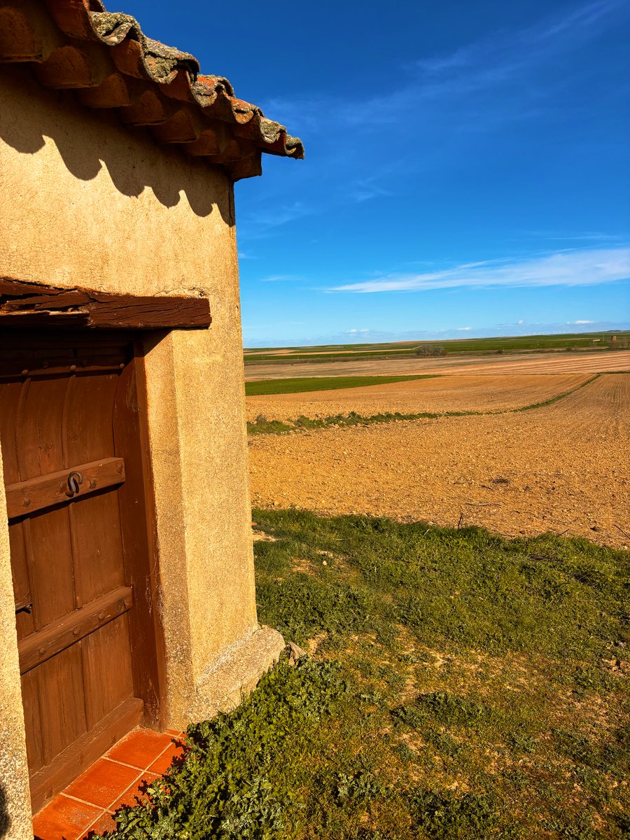 maría 🌾 tweet media