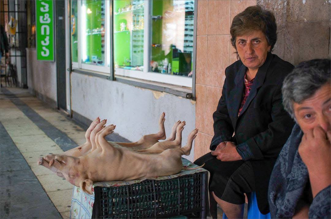 PAN CAUCASUS tweet media