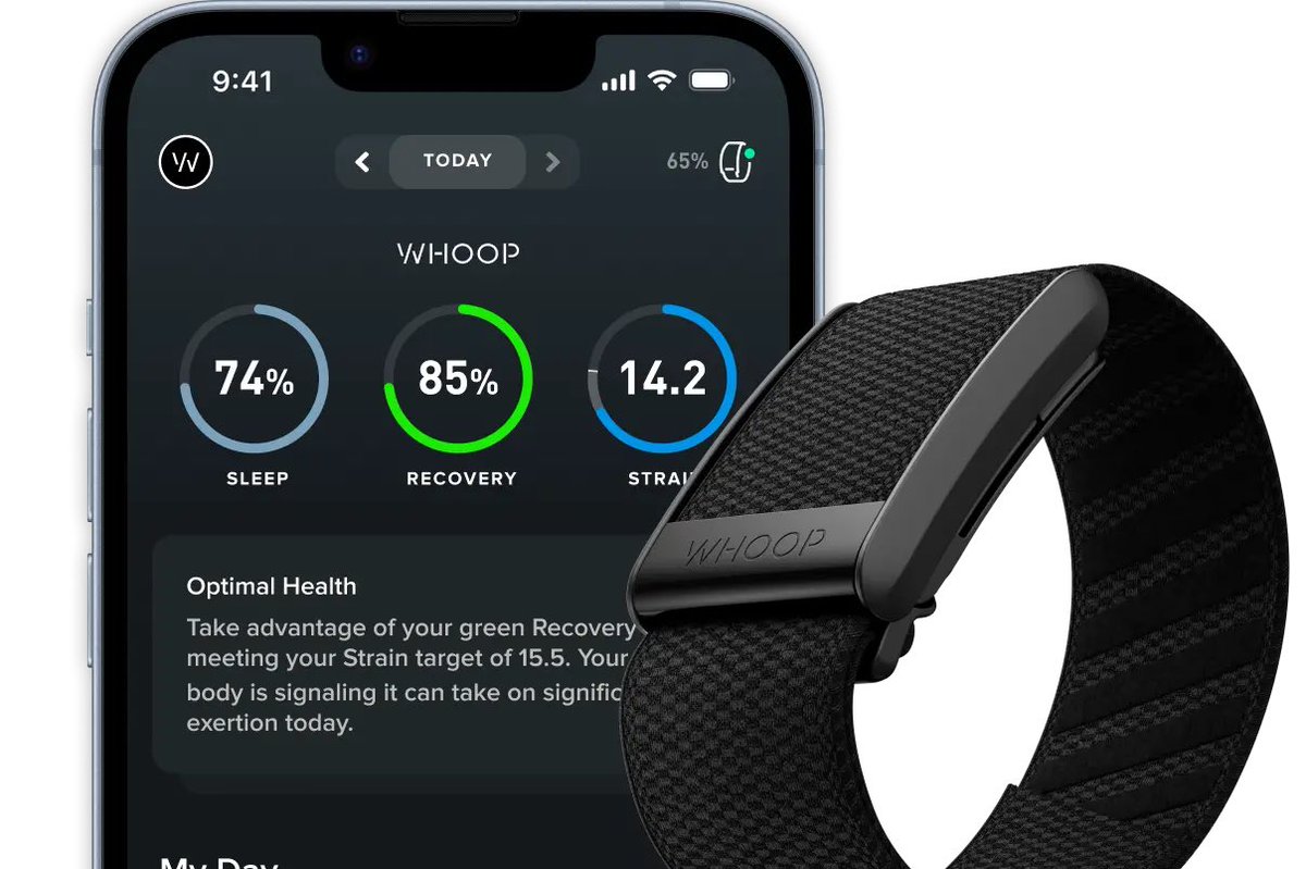 MEGA PSG 🇵🇸 tweet media