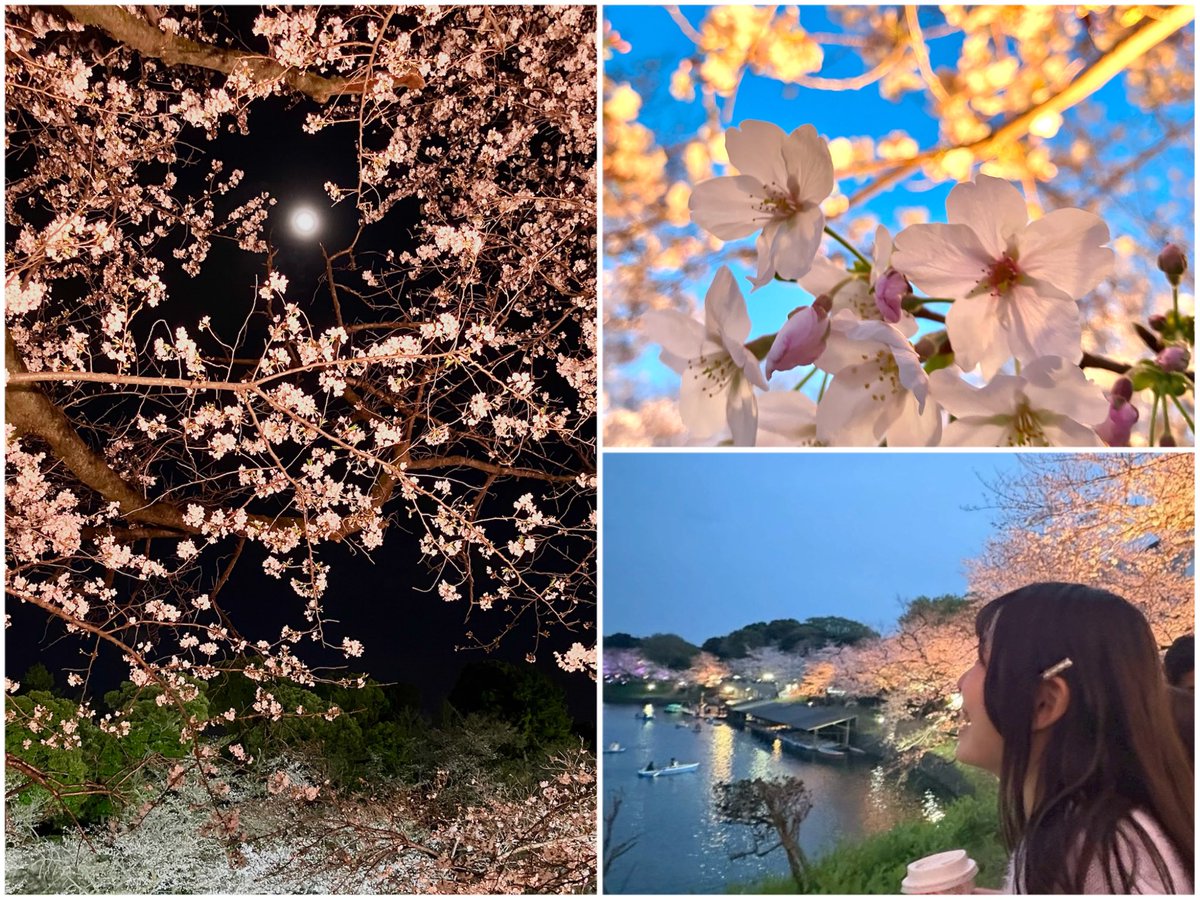 奈良平愛実 tweet media