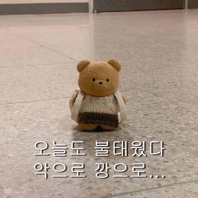 뜨개하는 개발자 부계 tweet media