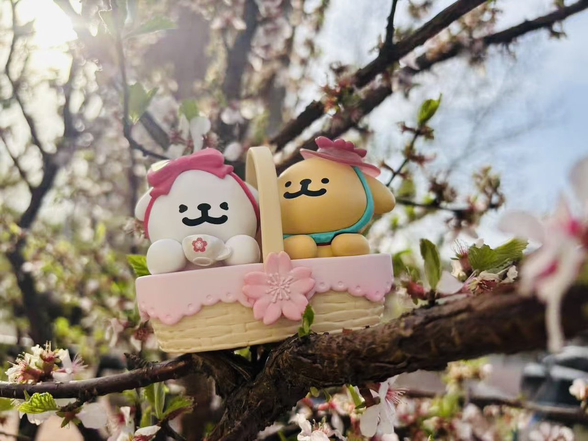 shio@🐶 tweet media