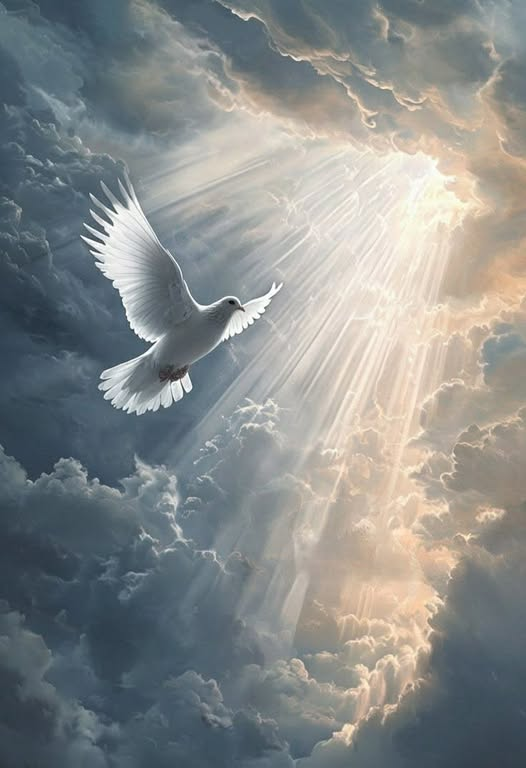 Εφη Σαλαχα tweet media