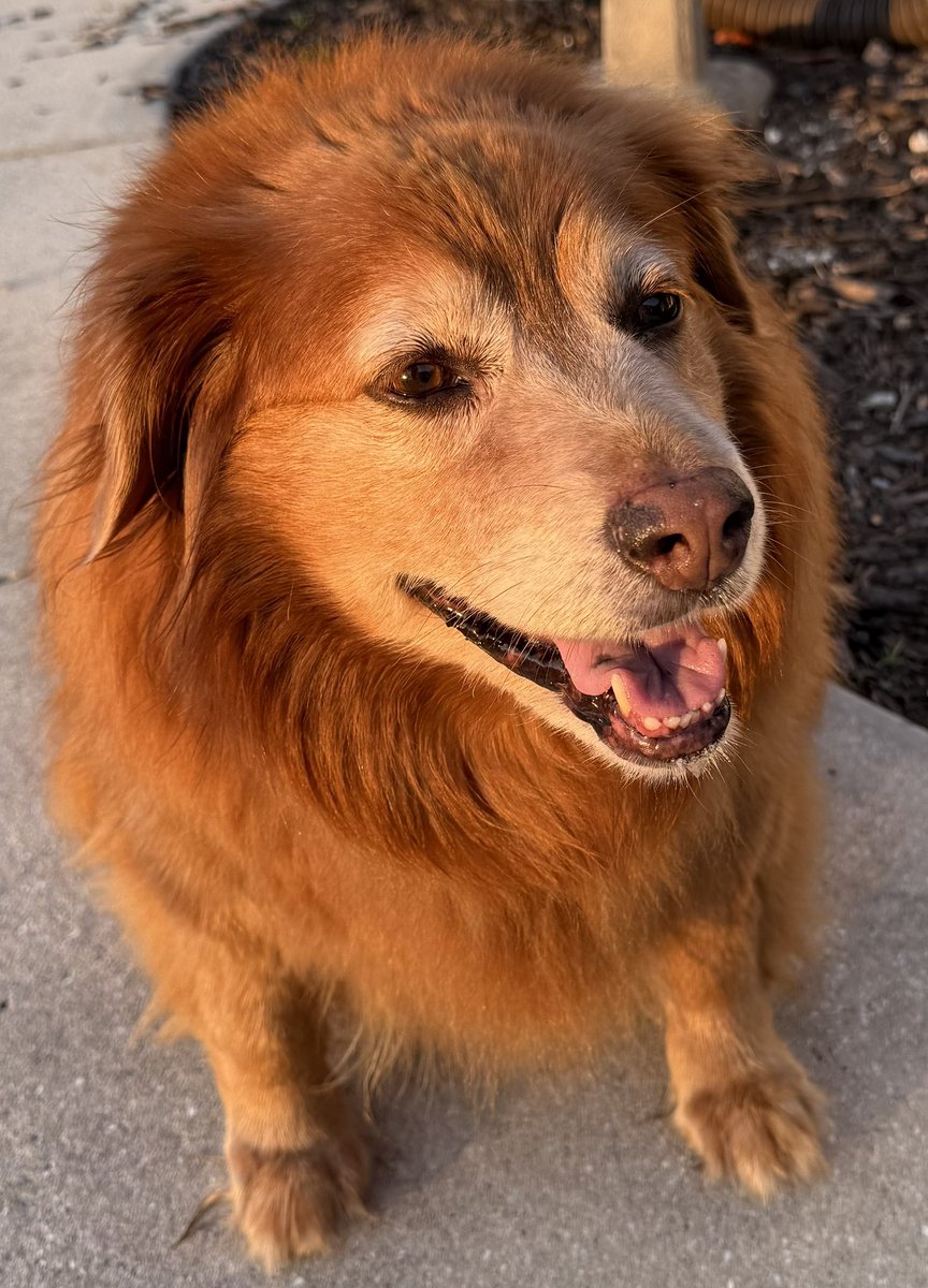 Barb Sabran tweet media