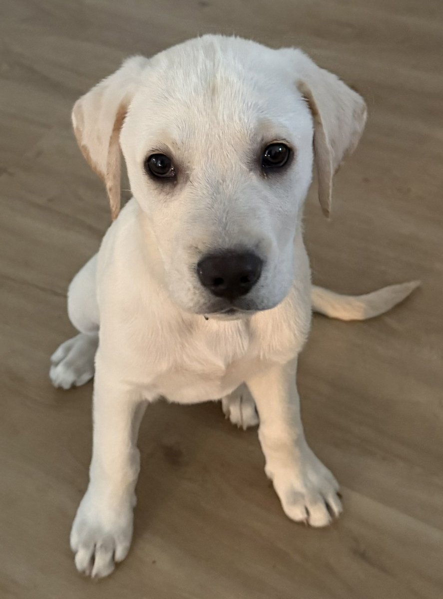 Barb Sabran tweet media