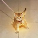 Solana Memes Scanner tweet media