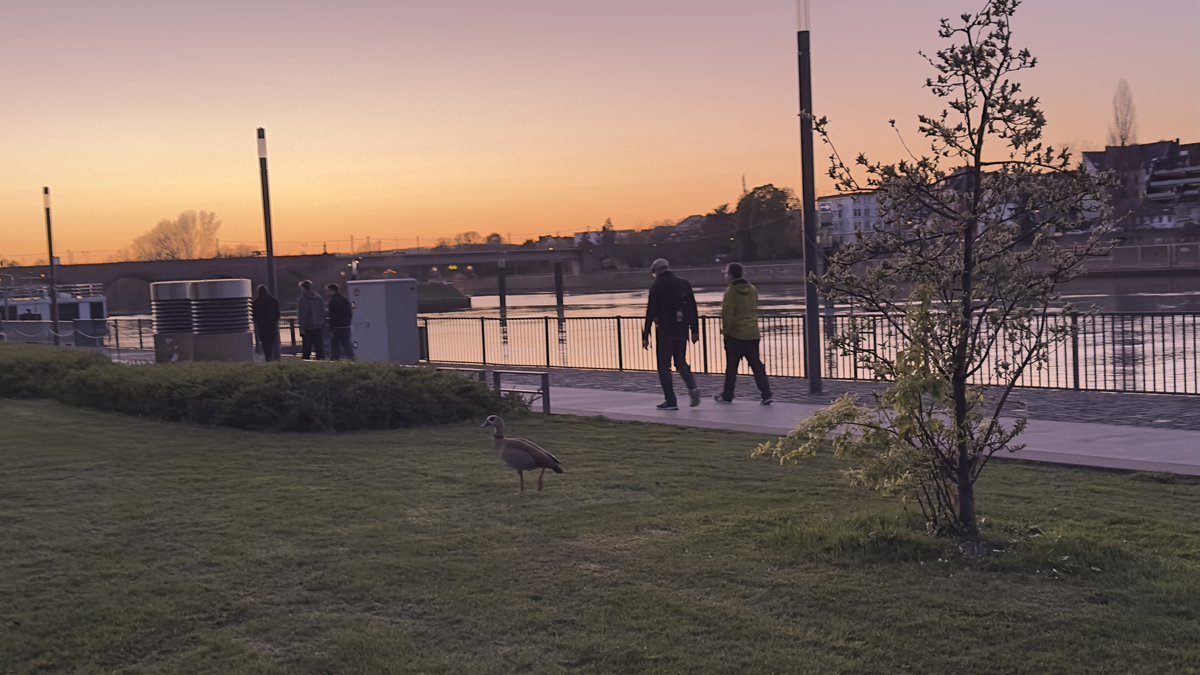 ᗩŋɖᖇɛą 🇦🇷🇩🇪  tweet media