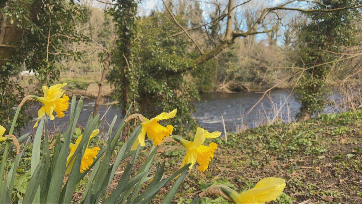 Victoria Whittam tweet media