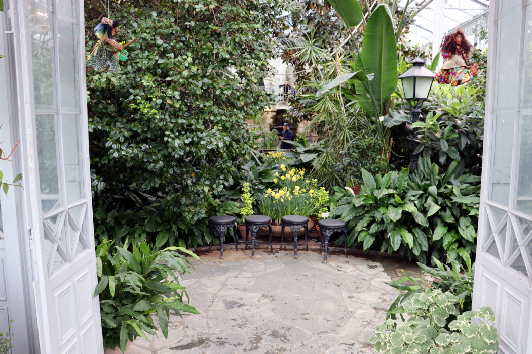 Mika Lappalainen tweet media