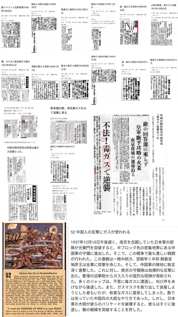 ベルねこ（プロテスティア）🇯🇵 tweet media