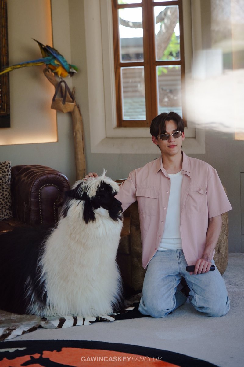 GAWIN CASKEY FC tweet media