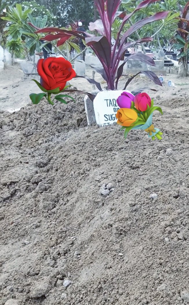 Park Hyun Ra 🌻🐯🐲 tweet media