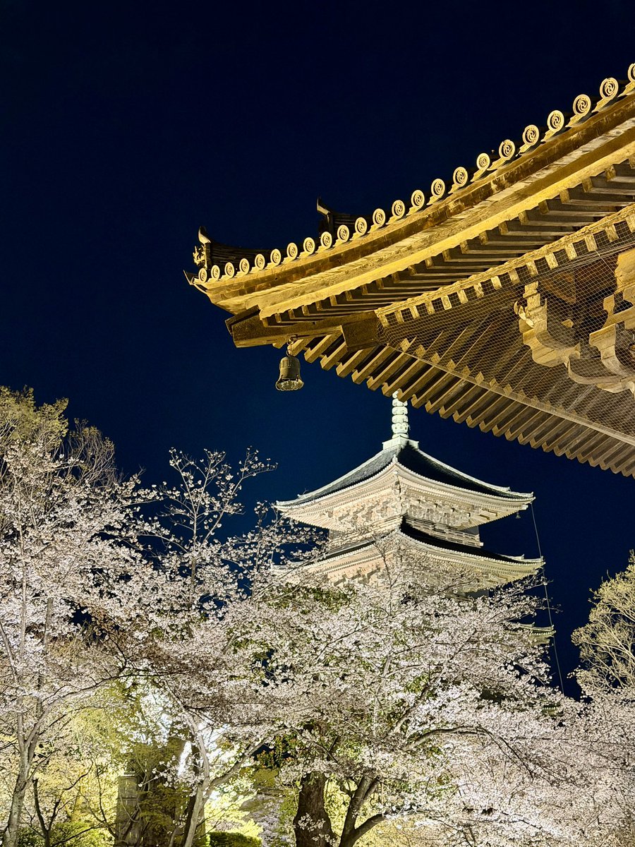 Wataru Nishida 西田航 tweet media