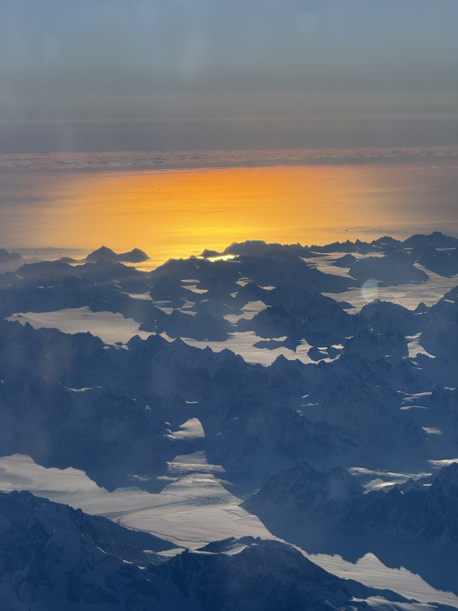 indrė 🦋 tweet media