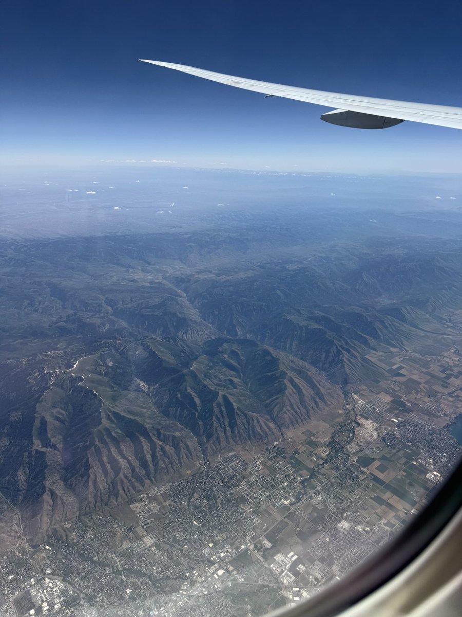 indrė 🦋 tweet media