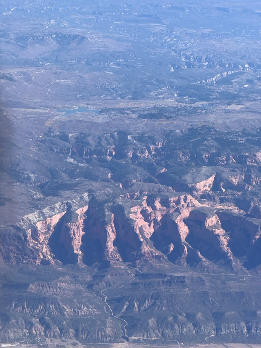 indrė 🦋 tweet media