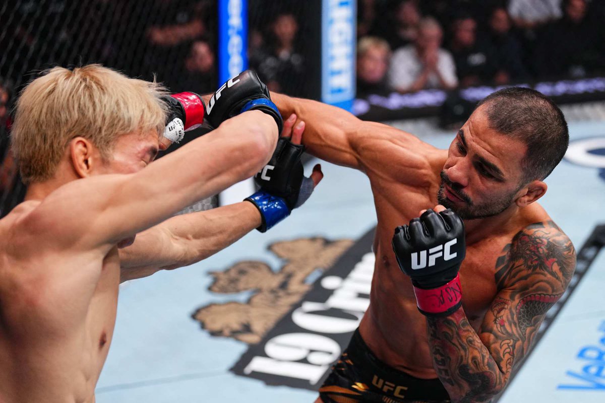 まくれが🇮🇪 tweet media