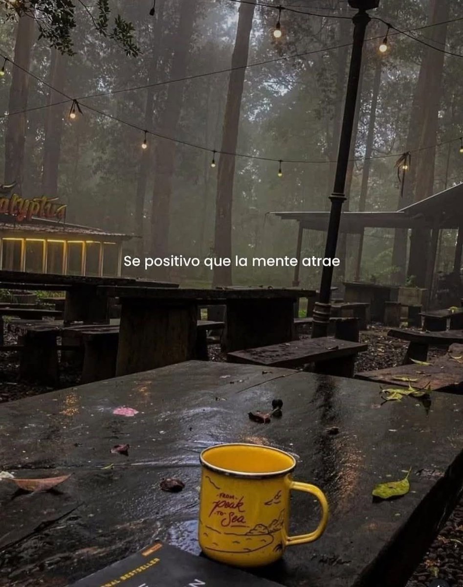 BANDIDOS (@bandidosfrasess) on Twitter photo 