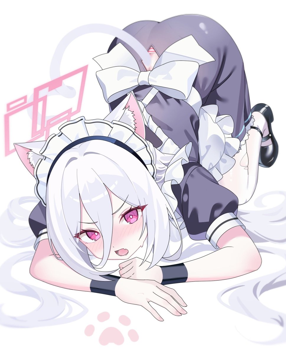 포코 Poko tweet media