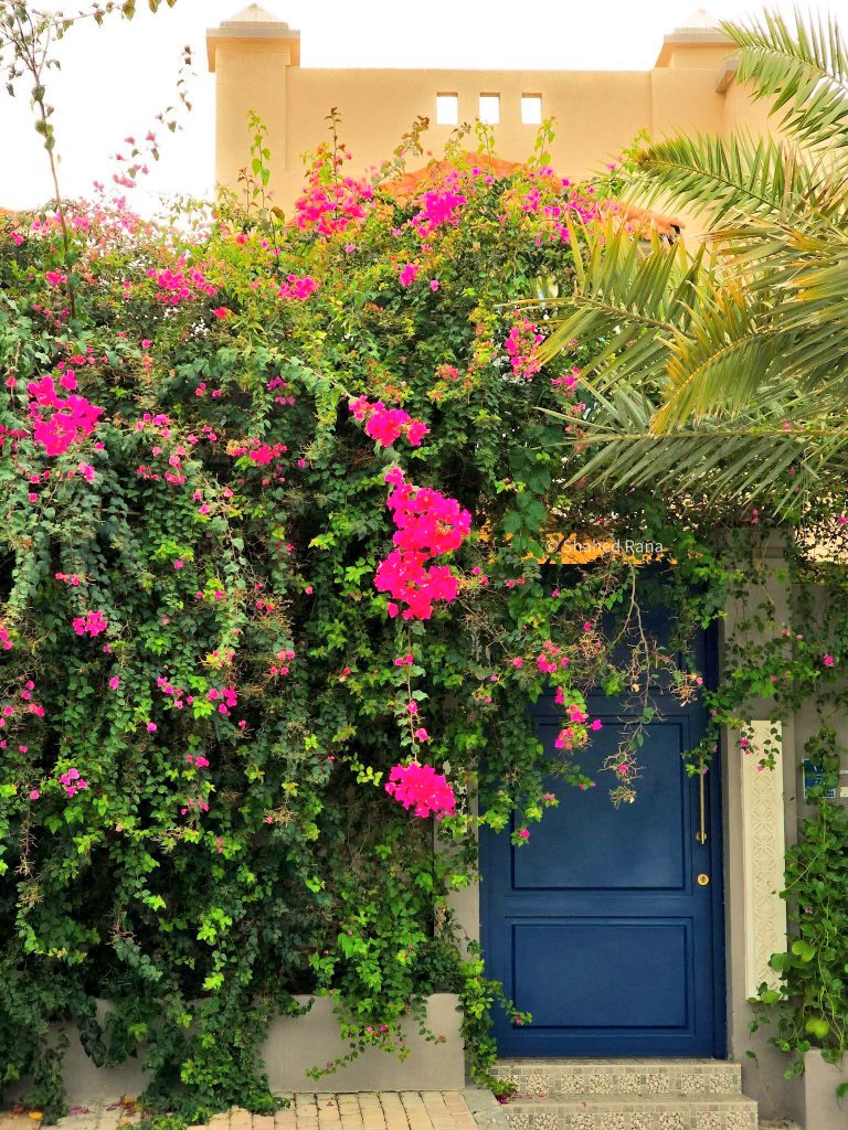 লেডি ডন 💃 tweet media