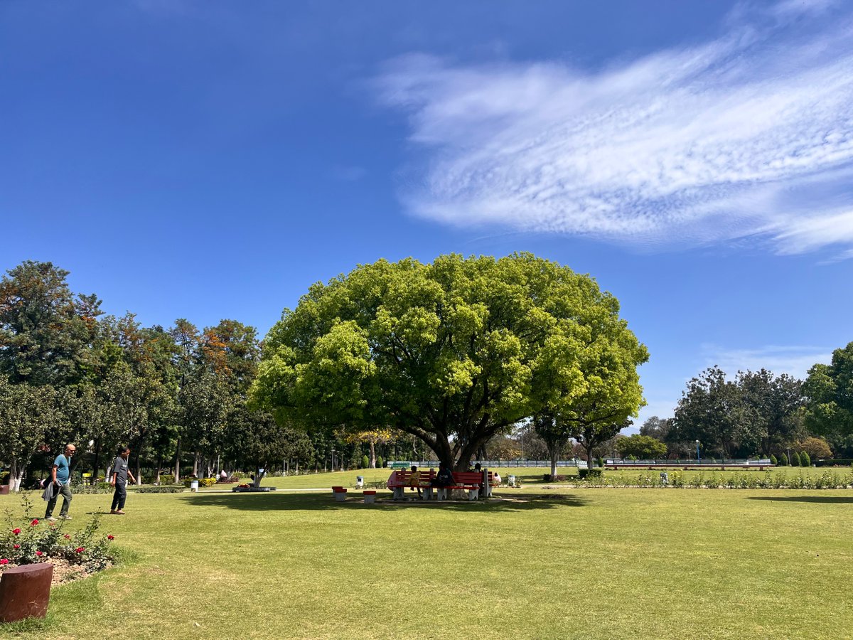 Pulkit Kochar tweet media