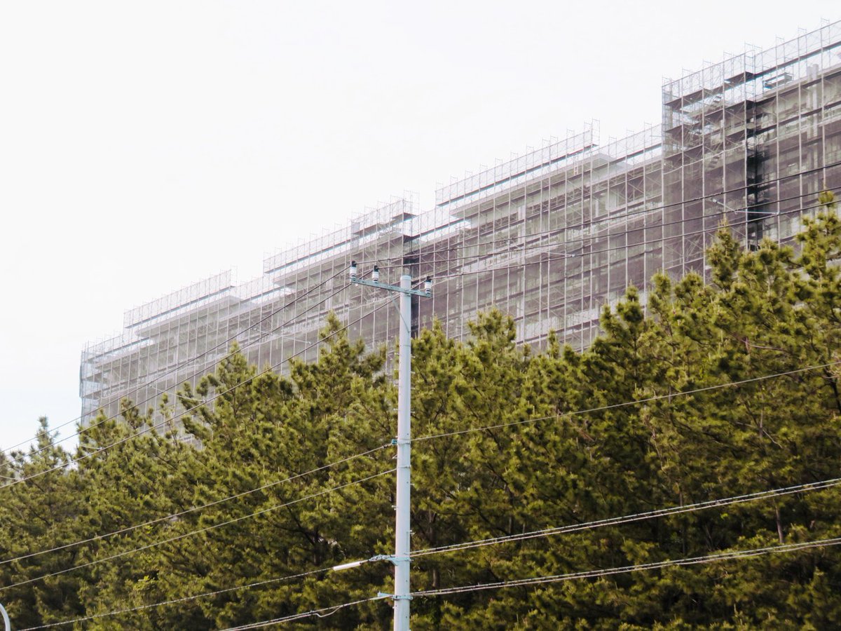 トマトスター tomato star tweet media