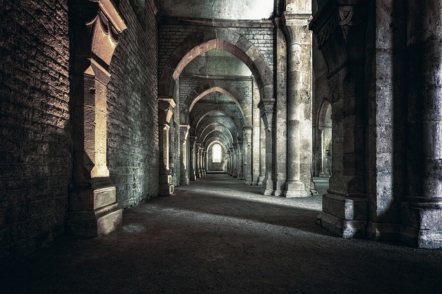 Tyler Fabra tweet media