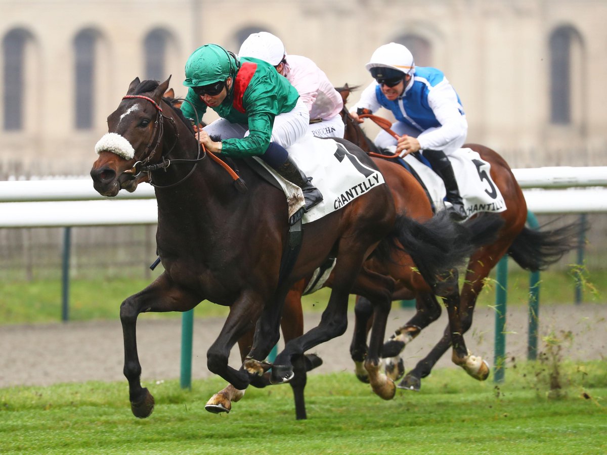 Aga Khan Studs tweet media