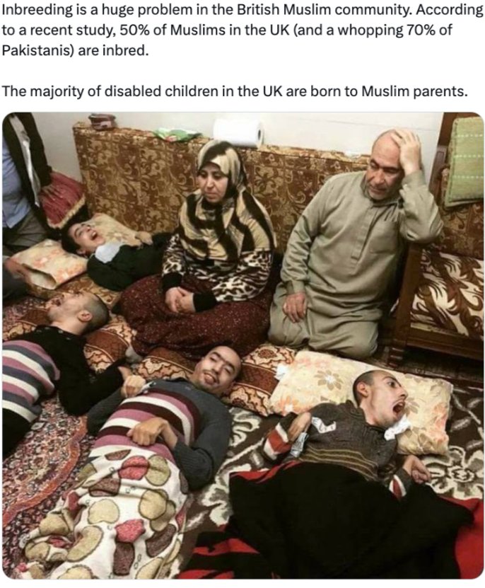 Michael Cold tweet media