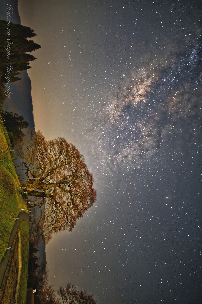 ホタルのおっちゃん tweet media