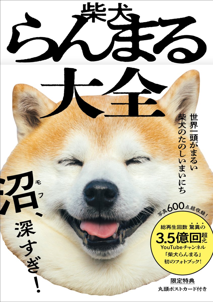 WANI BOOKOUT（ワニブックス） tweet media