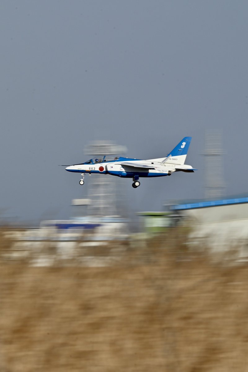 はむぴよ🐥⸒⸒ﾃｺﾃｺ tweet media