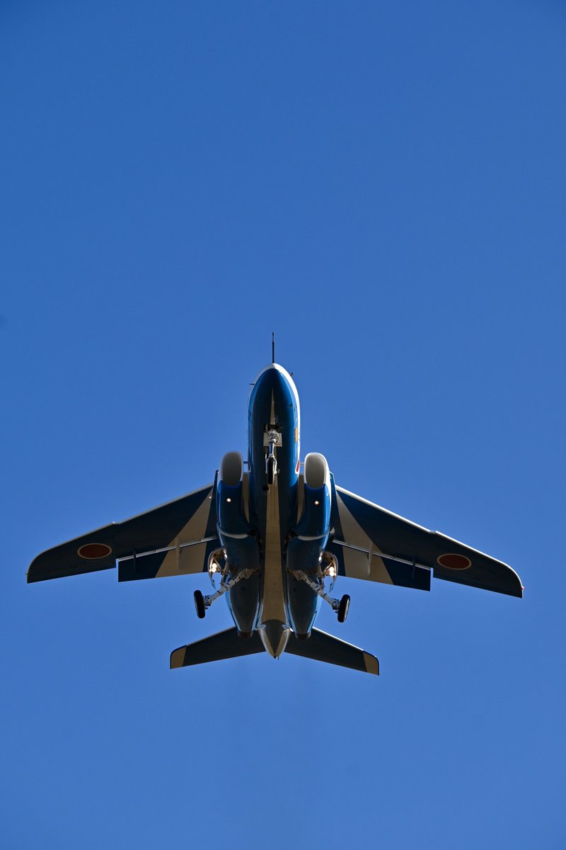 はむぴよ🐥⸒⸒ﾃｺﾃｺ tweet media