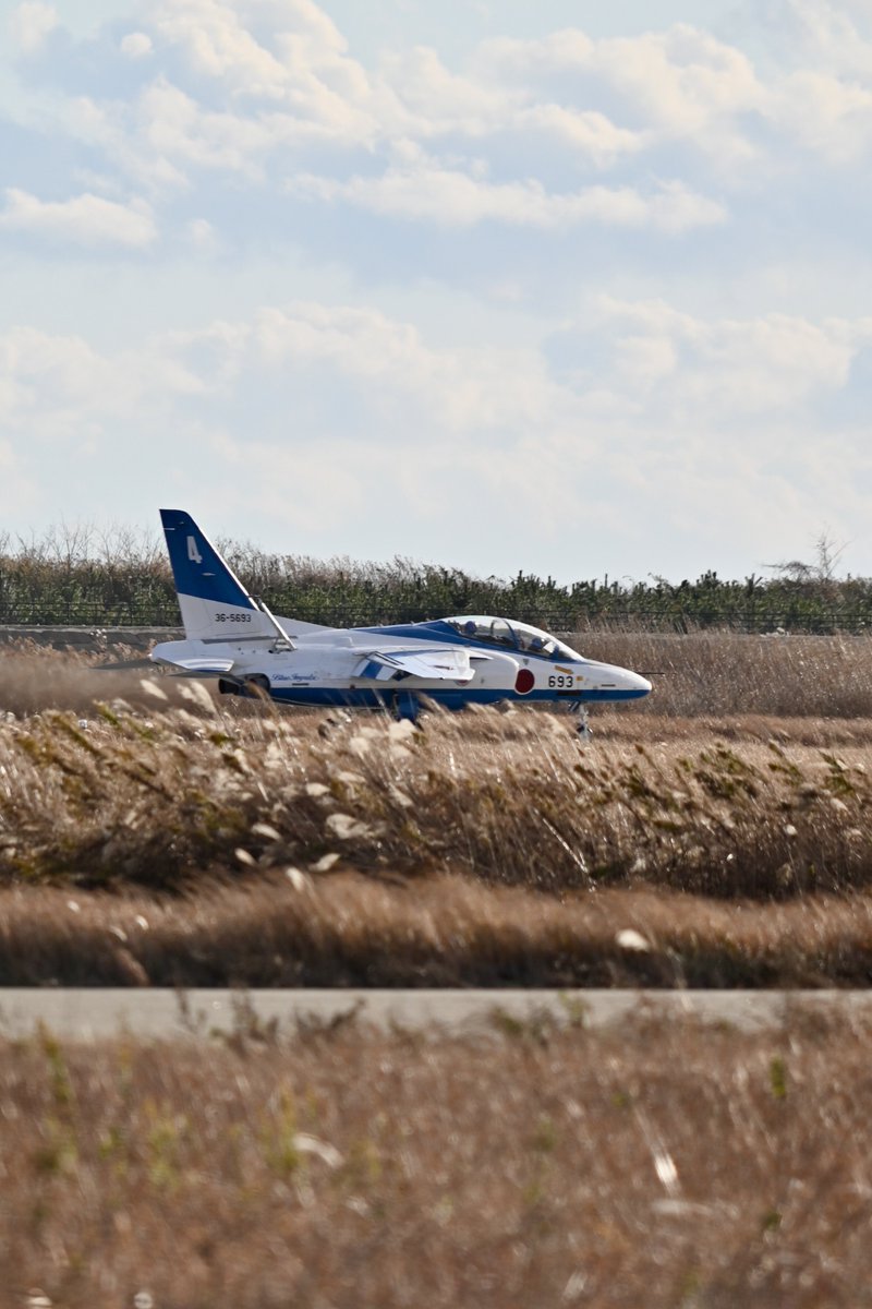 はむぴよ🐥⸒⸒ﾃｺﾃｺ tweet media