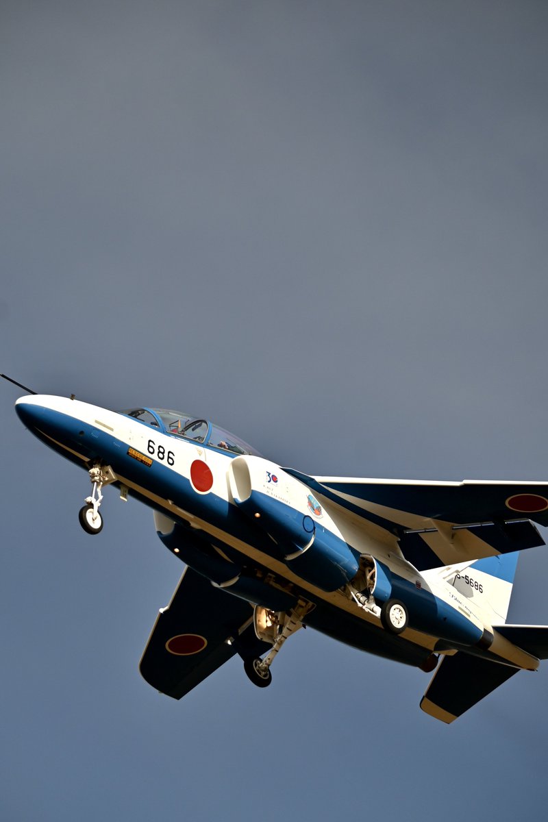 はむぴよ🐥⸒⸒ﾃｺﾃｺ tweet media