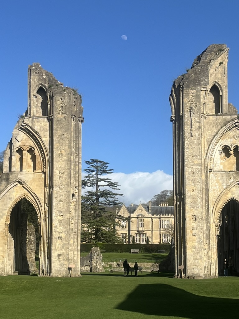 Tim Freke tweet media