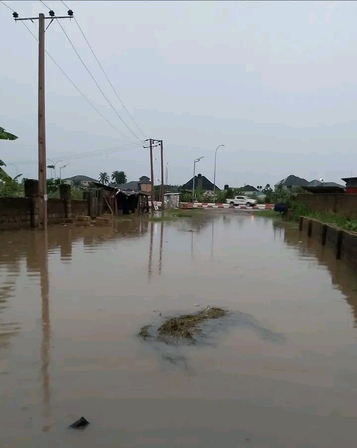 Uyo Rants tweet media
