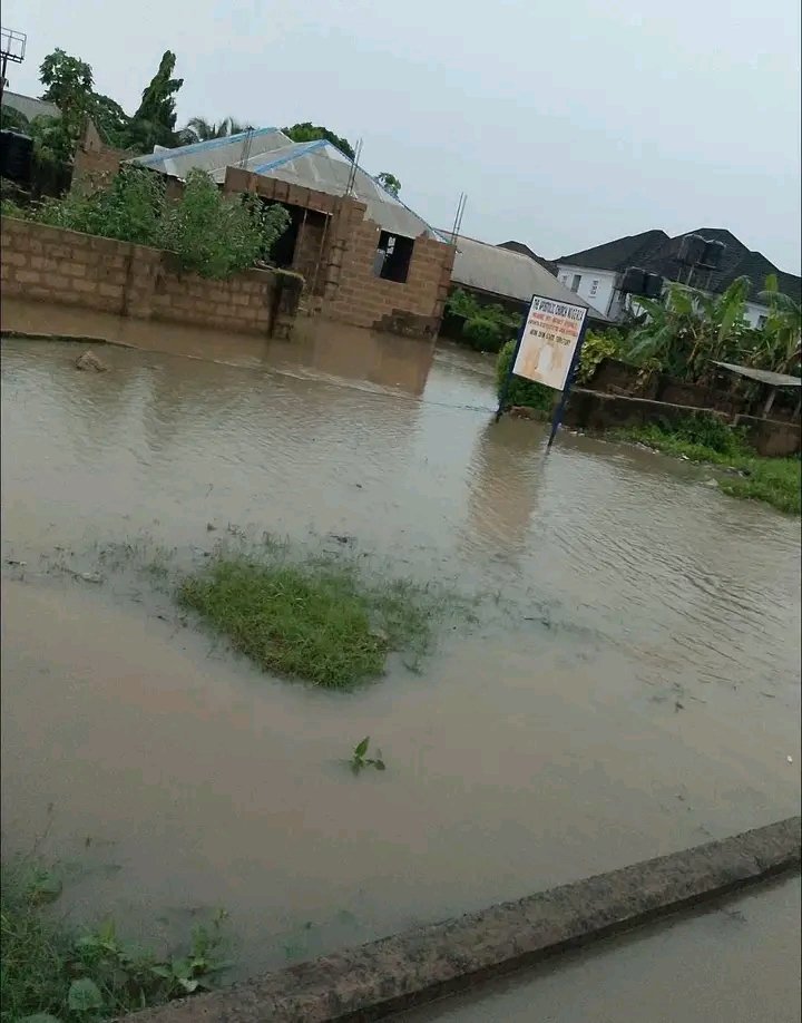 Uyo Rants tweet media