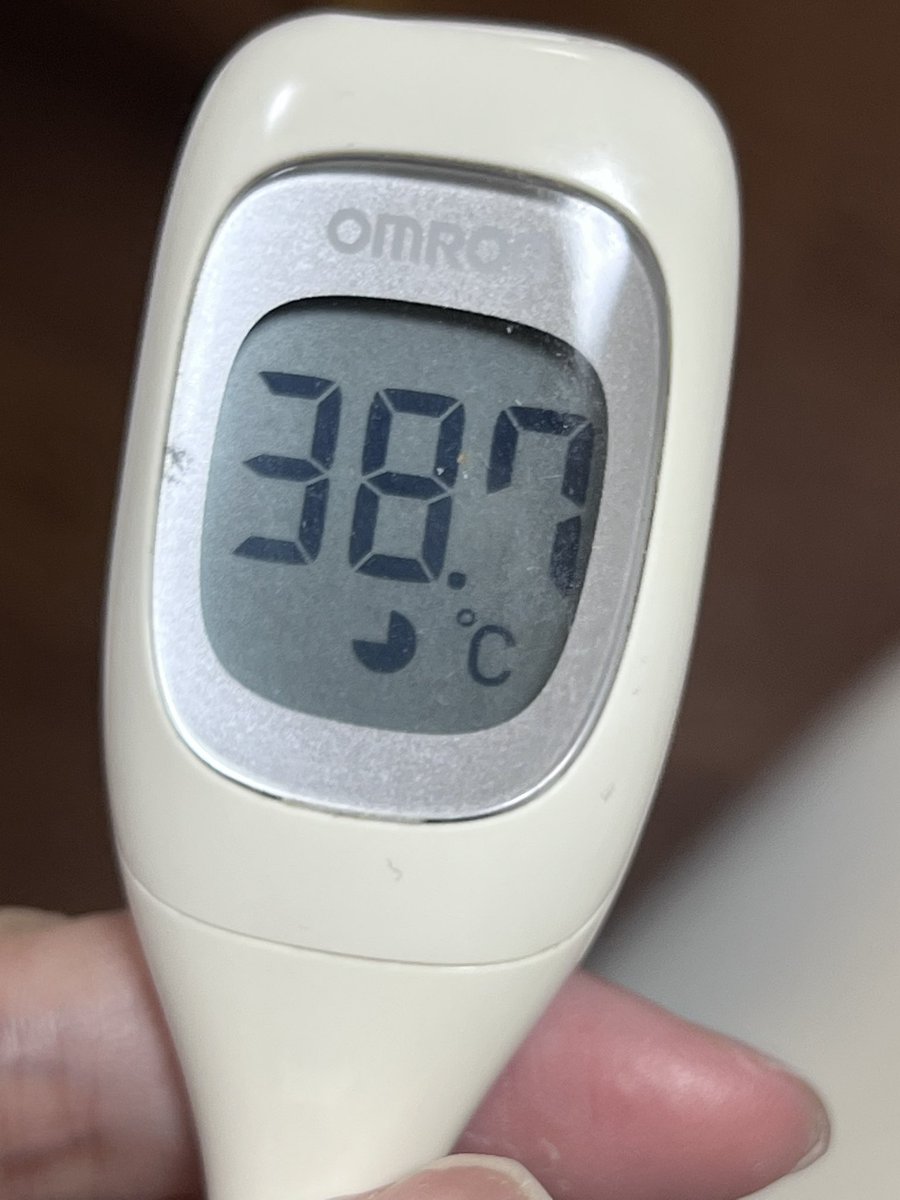 鮫島オルカ tweet media