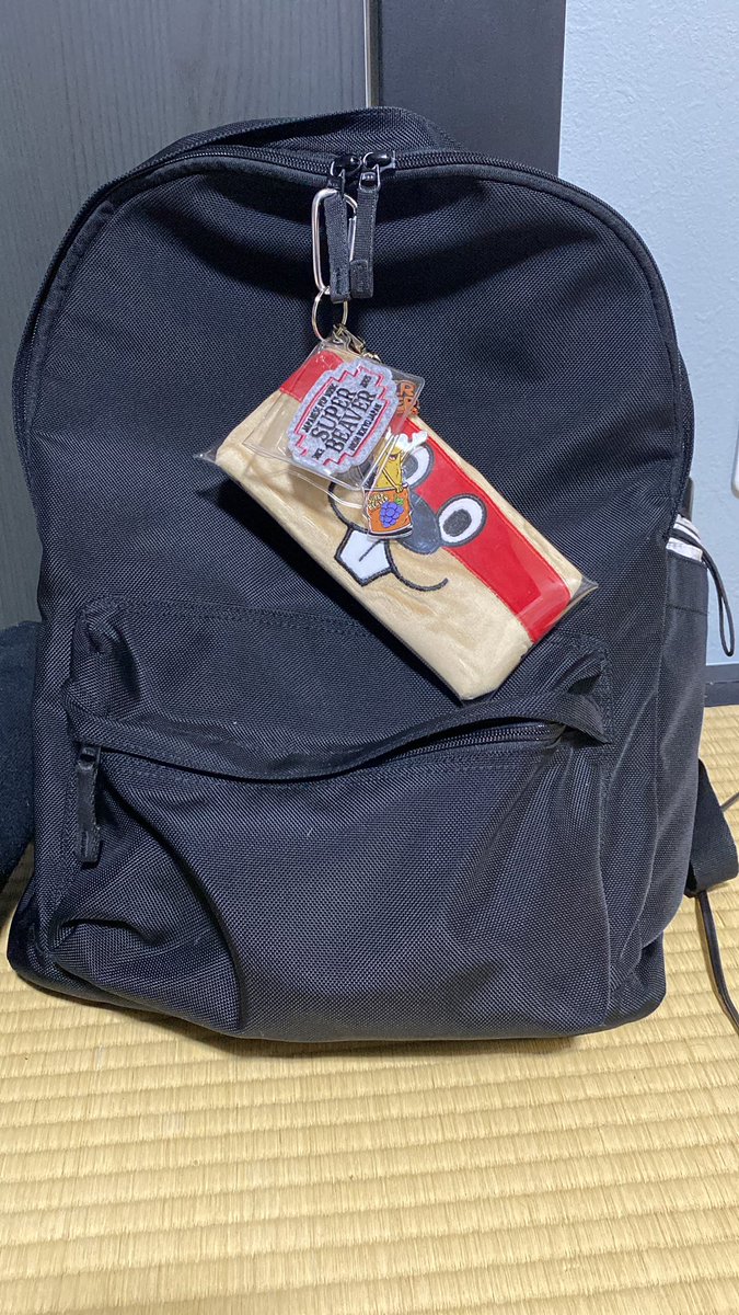 のぶ🦐🦫D.M🪐 tweet media