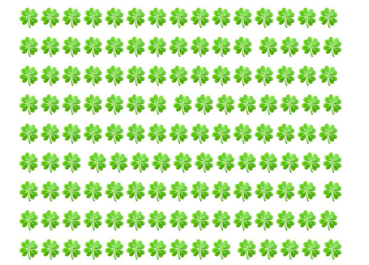 rabbittttt tweet media