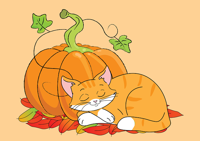 Chelsea Wally tweet media