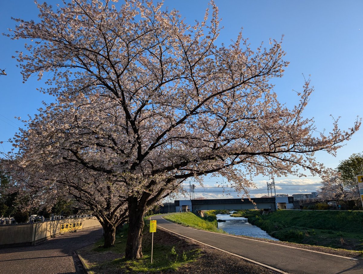 Hideyasu Sato tweet media