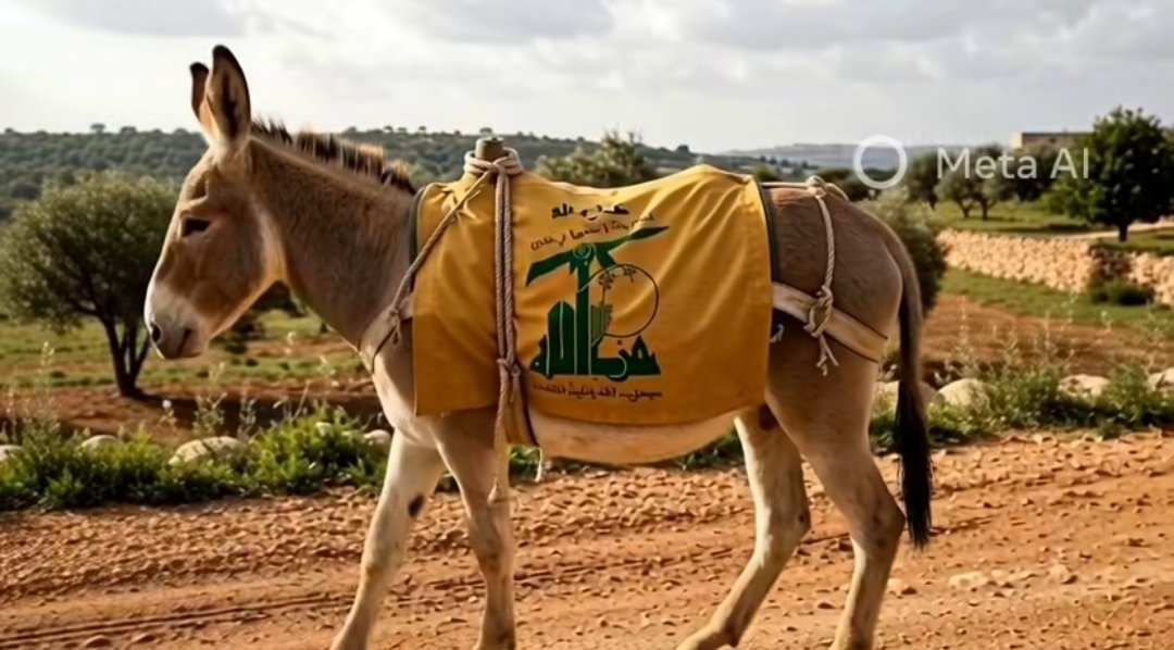 محرقي 🇧🇭 tweet media