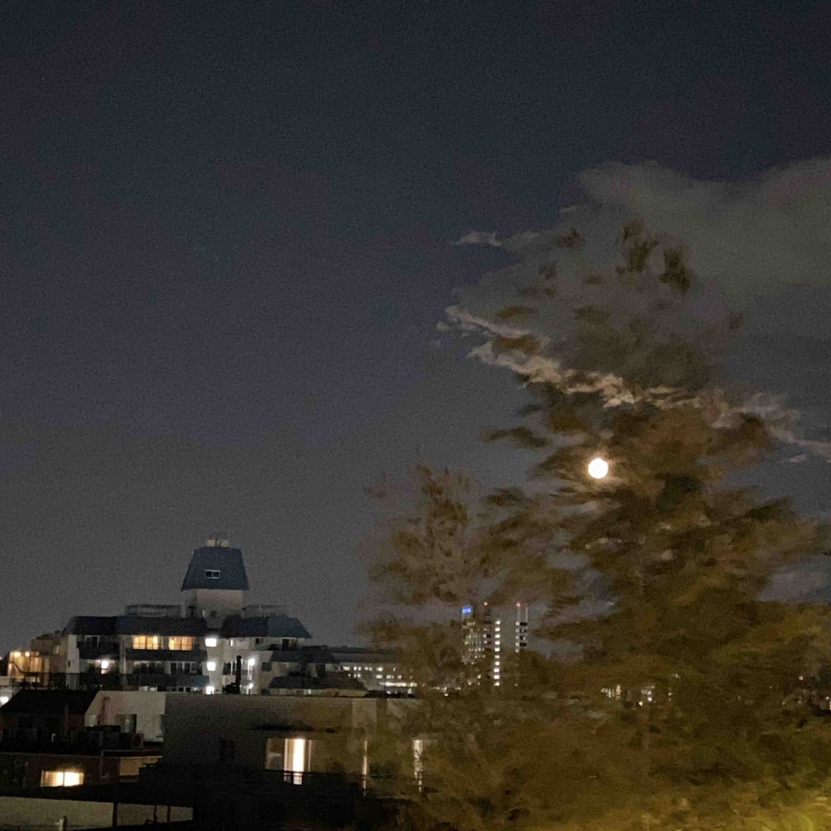 やんてら めぇ〜 tweet media